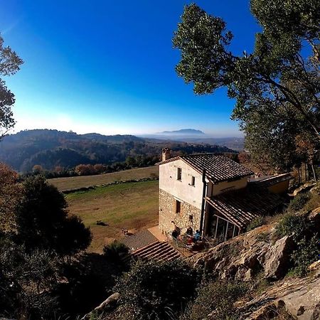 La Casa Del Tartufo Apartamento Torri in Sabina Exterior foto