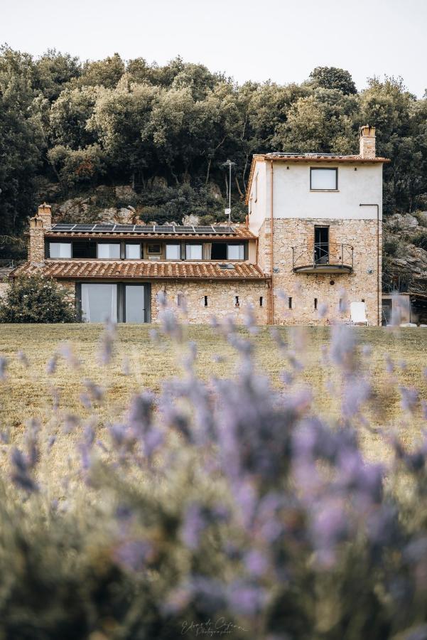 La Casa Del Tartufo Apartamento Torri in Sabina Exterior foto